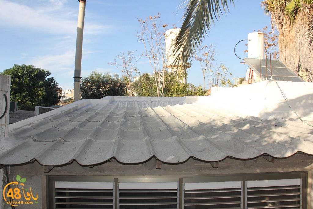 kaboob 3al2 mswarwa (26).JPG